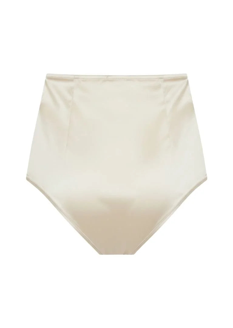 Bella High Waisted Briefs back